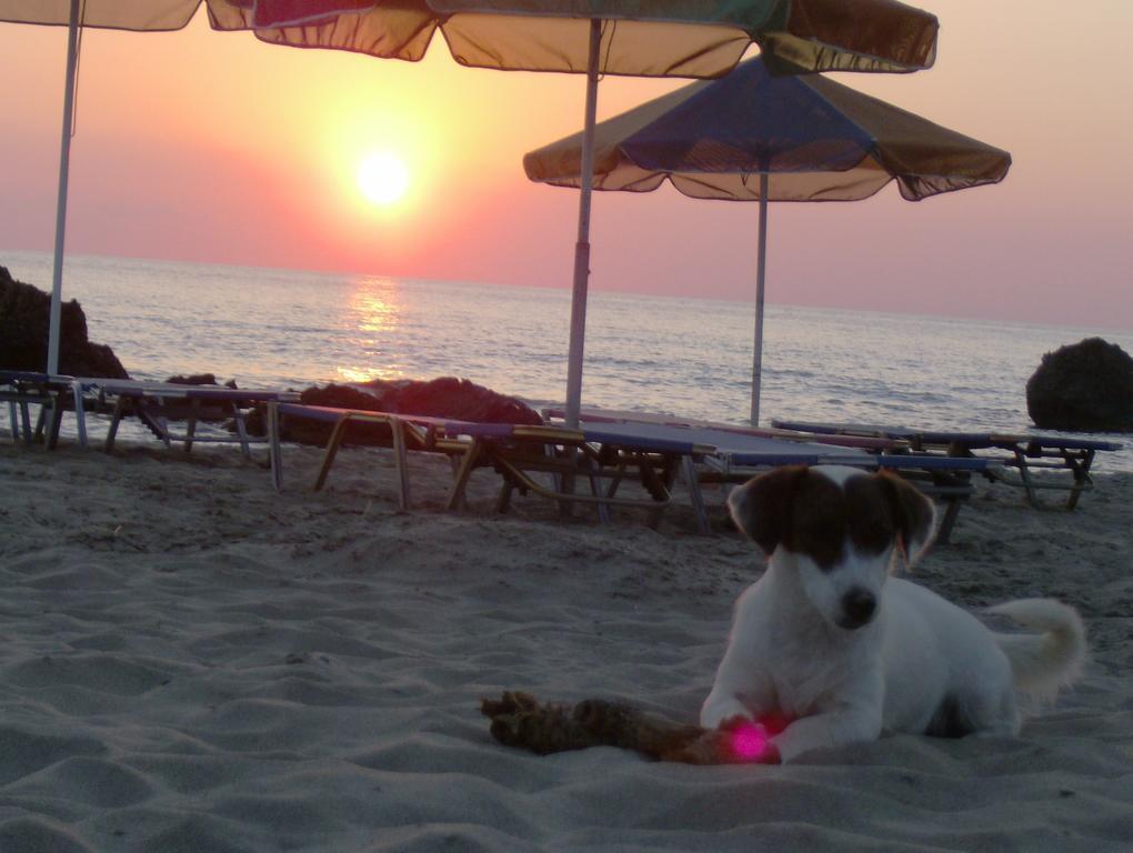 Aqua Marine Aparthotel Falasarna Bagian luar foto